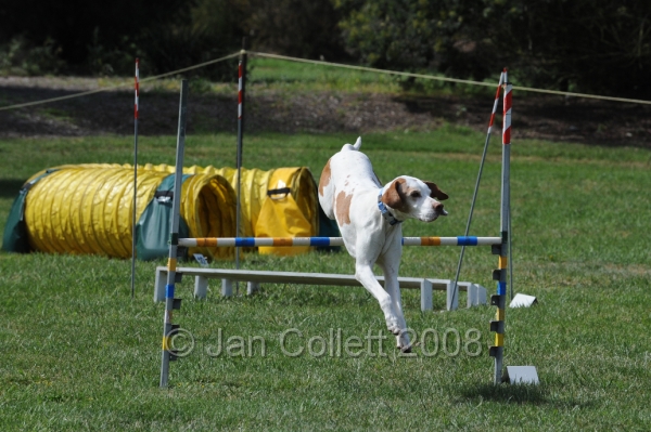 DOG_0739.JPG