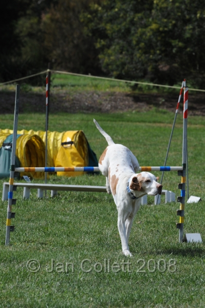 DOG_0740.JPG