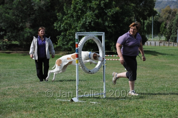 DOG_0741.JPG