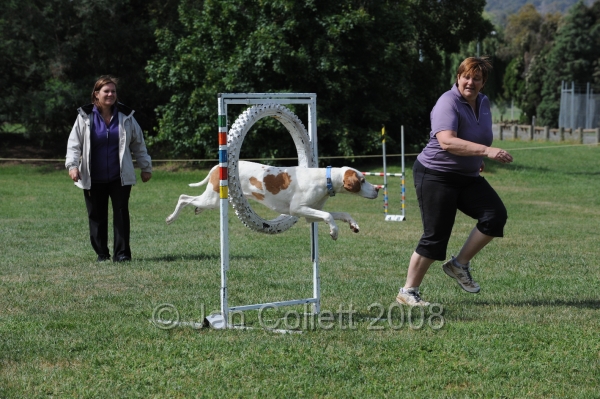 DOG_0742.JPG