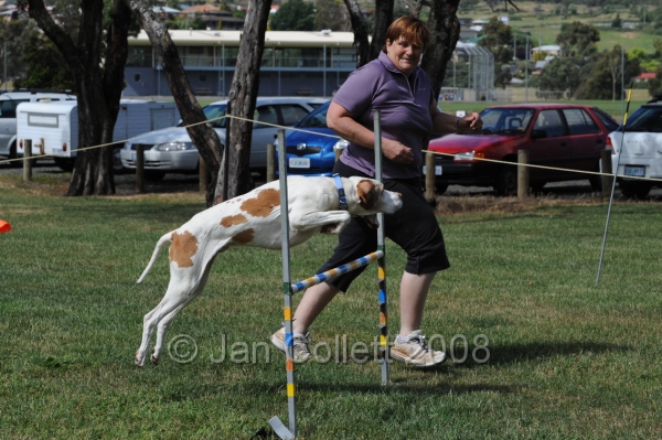 DOG_0746.JPG