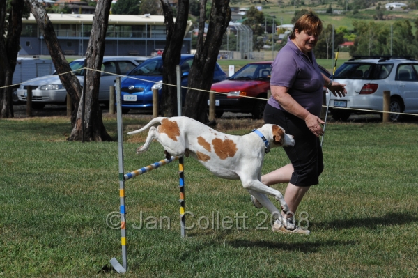 DOG_0748.JPG