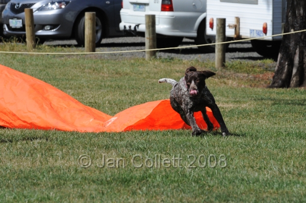 DOG_0755.JPG