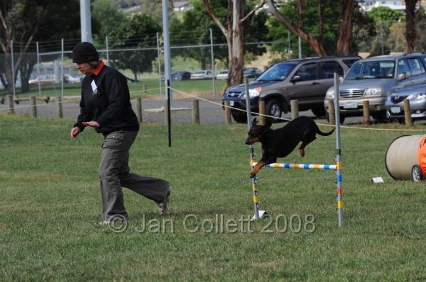 DOG_0765.JPG