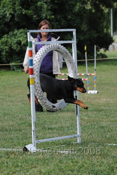 DOG_0768.JPG