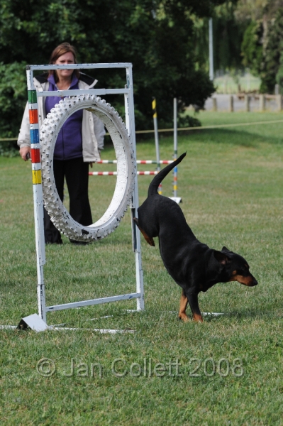 DOG_0770.JPG