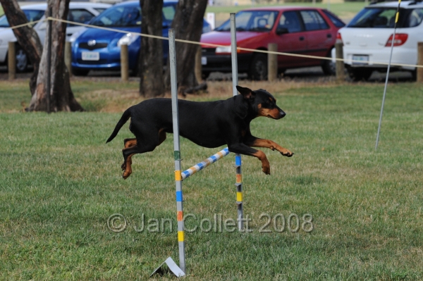 DOG_0772.JPG