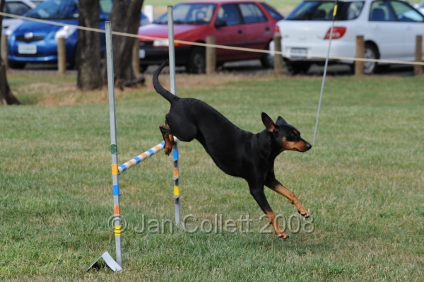 DOG_0773.JPG
