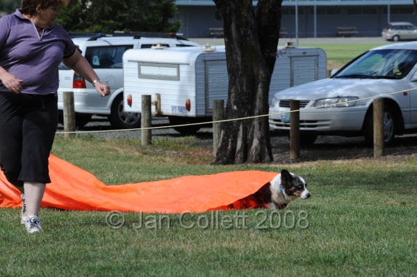 DOG_0777.JPG