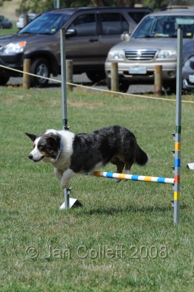 DOG_0782.JPG