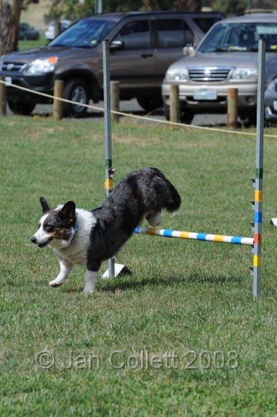 DOG_0783.JPG