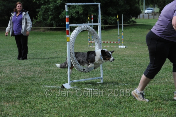 DOG_0786.JPG