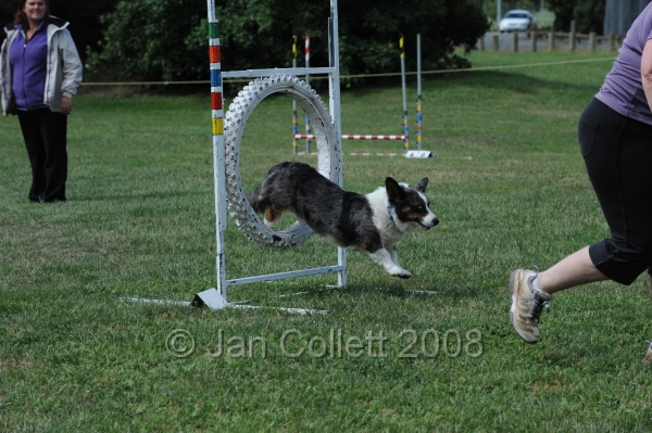 DOG_0787.JPG