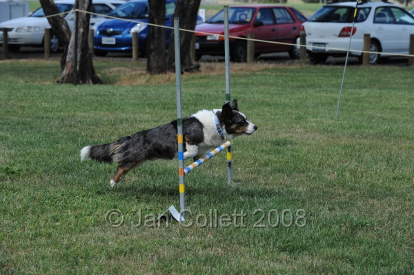 DOG_0791.JPG