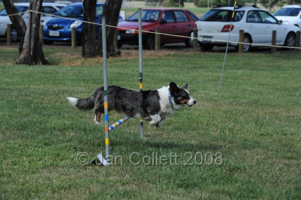 DOG_0792.JPG