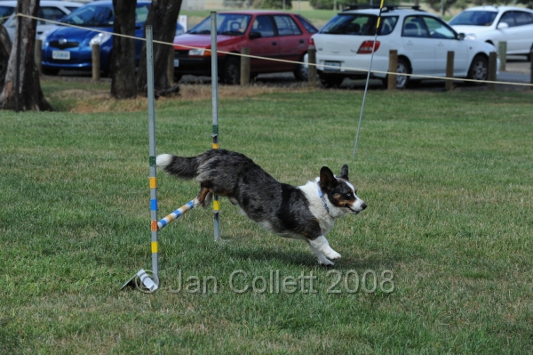 DOG_0793.JPG