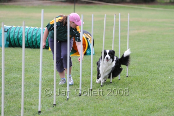 DOG_0800.JPG