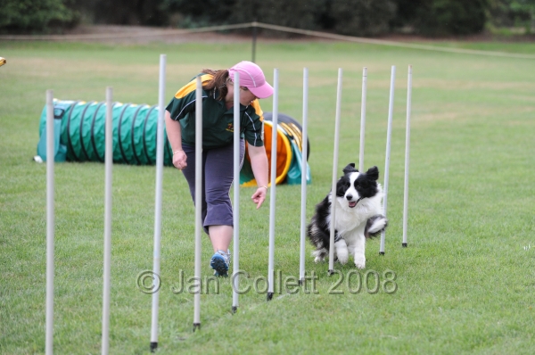 DOG_0801.JPG