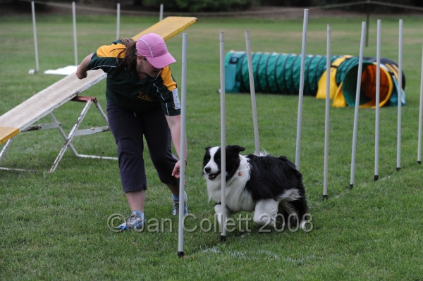 DOG_0808.JPG