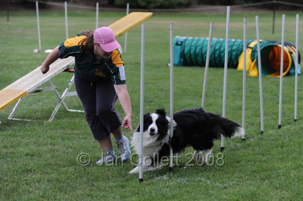 DOG_0809.JPG