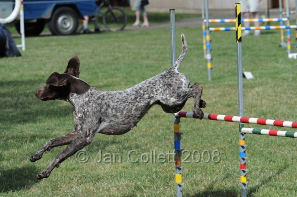 DOG_9538.JPG