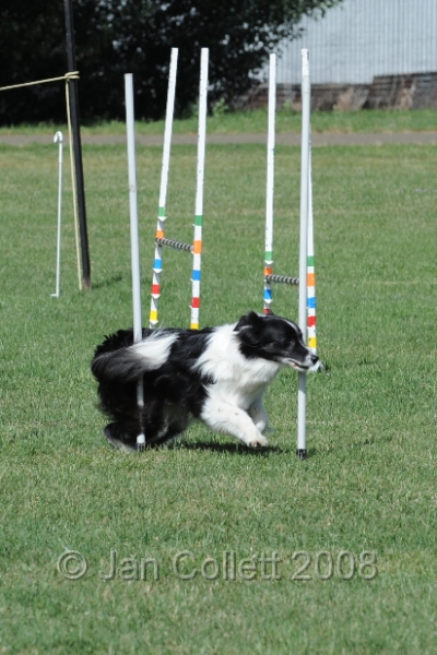 DOG_9606.JPG