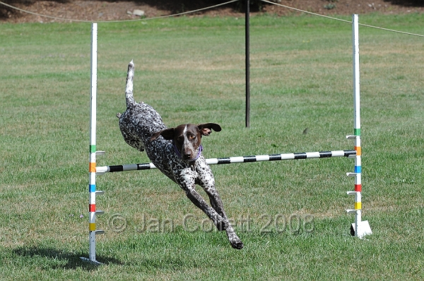 DOG_9667.JPG