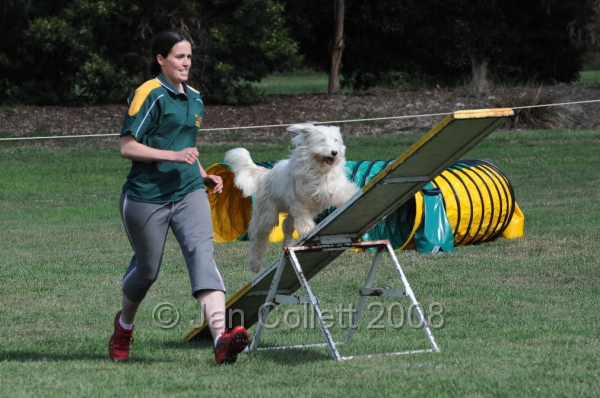 DOG_9702.JPG