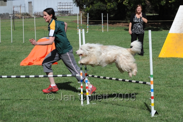 DOG_9721.JPG
