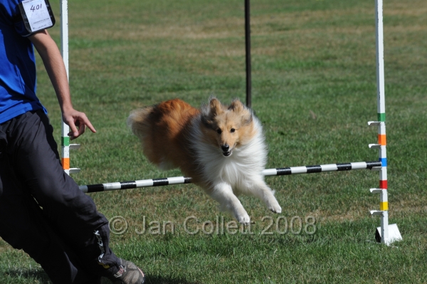 DOG_9731.JPG