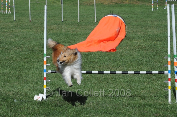 DOG_9739.JPG