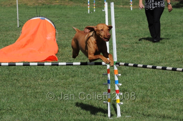 DOG_9782.JPG