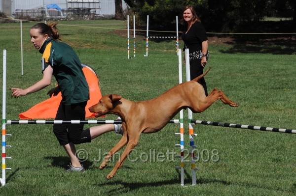 DOG_9790.JPG