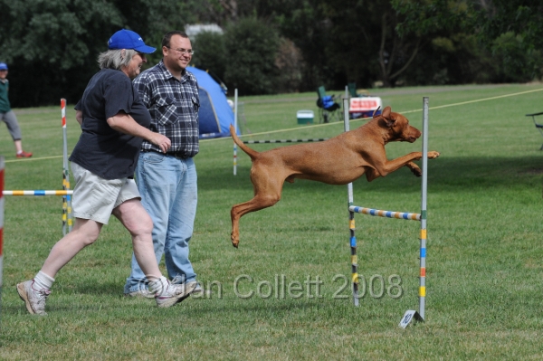 DOG_9827.JPG