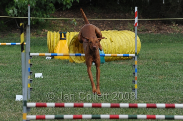 DOG_9834.JPG