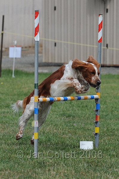 DOG_9863.JPG