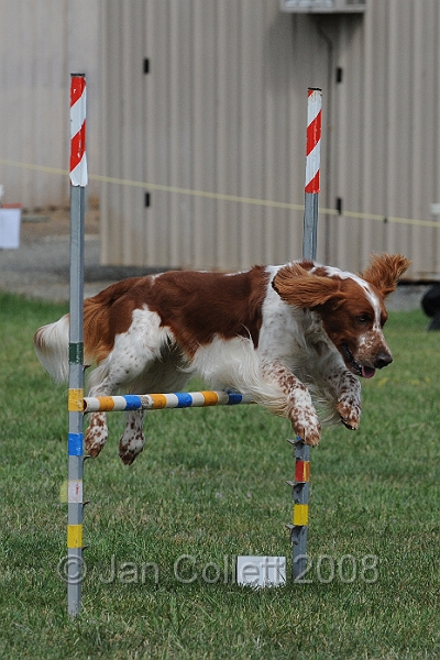 DOG_9864.JPG
