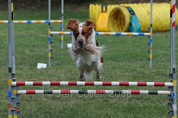 DOG_9869.JPG