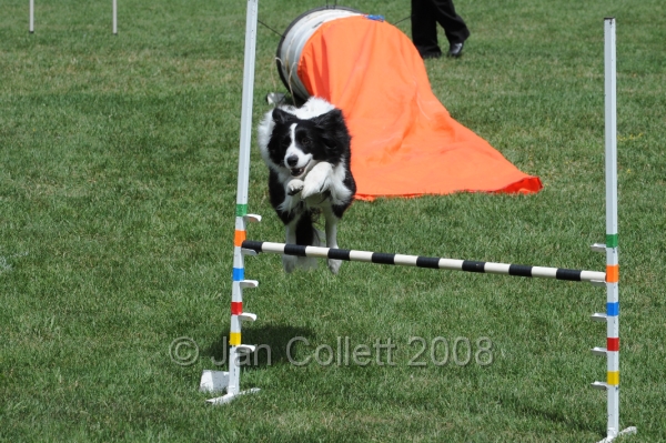 DOG_9955.JPG