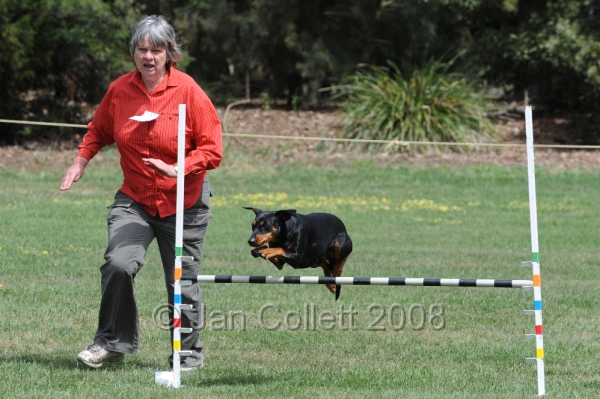 DOG_9960.JPG