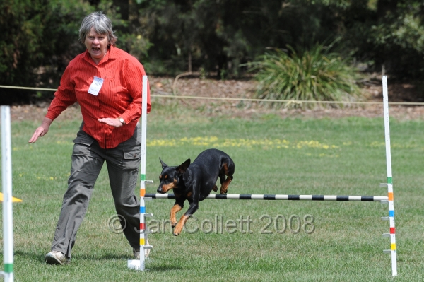 DOG_9961.JPG