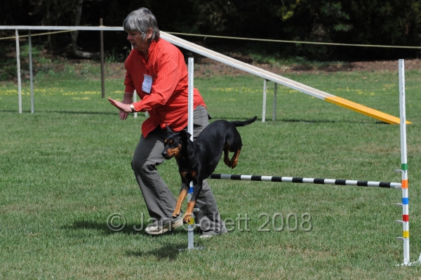 DOG_9964.JPG