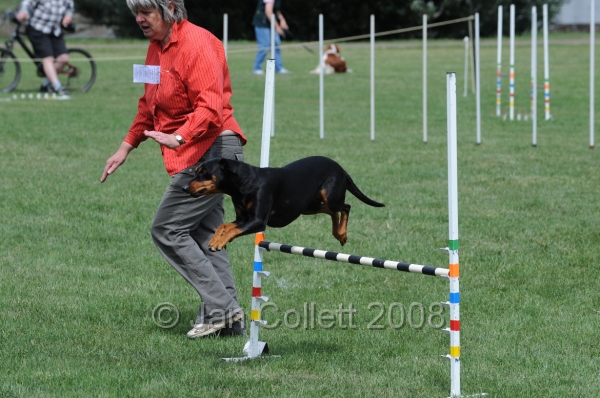 DOG_9972.JPG