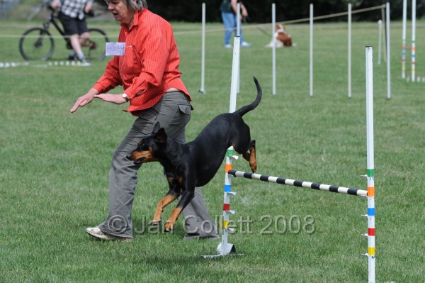 DOG_9973.JPG