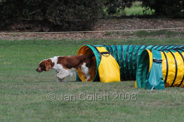 DOG_9978.JPG