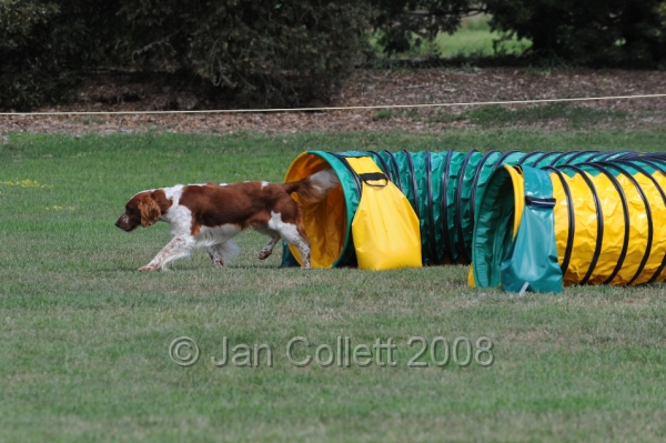DOG_9979.JPG