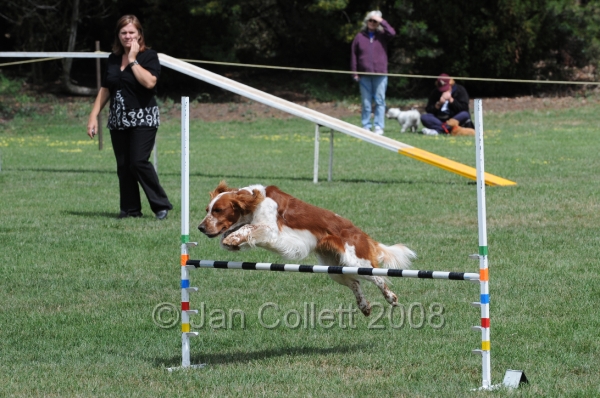 DOG_9984.JPG