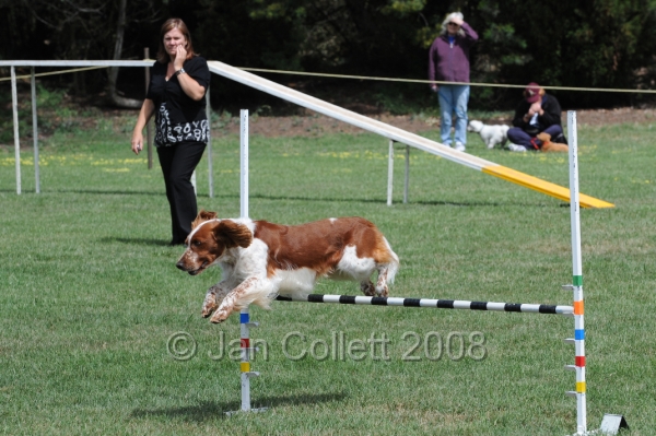 DOG_9985.JPG