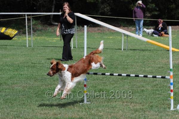 DOG_9986.JPG