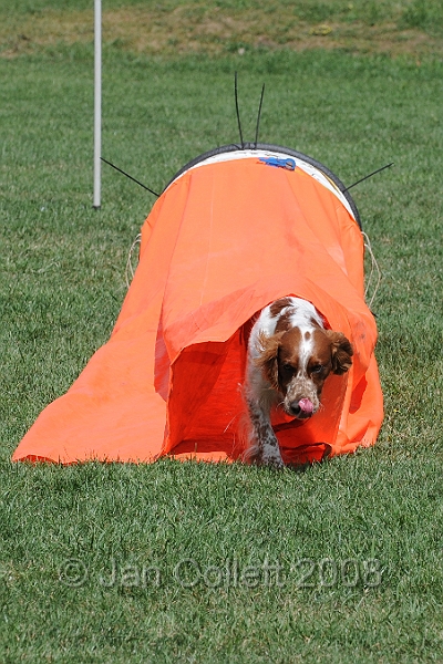 DOG_9987.JPG